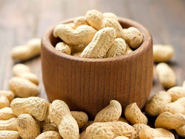 Đội ngũ Lamia Foods đóng gói sản phẩm